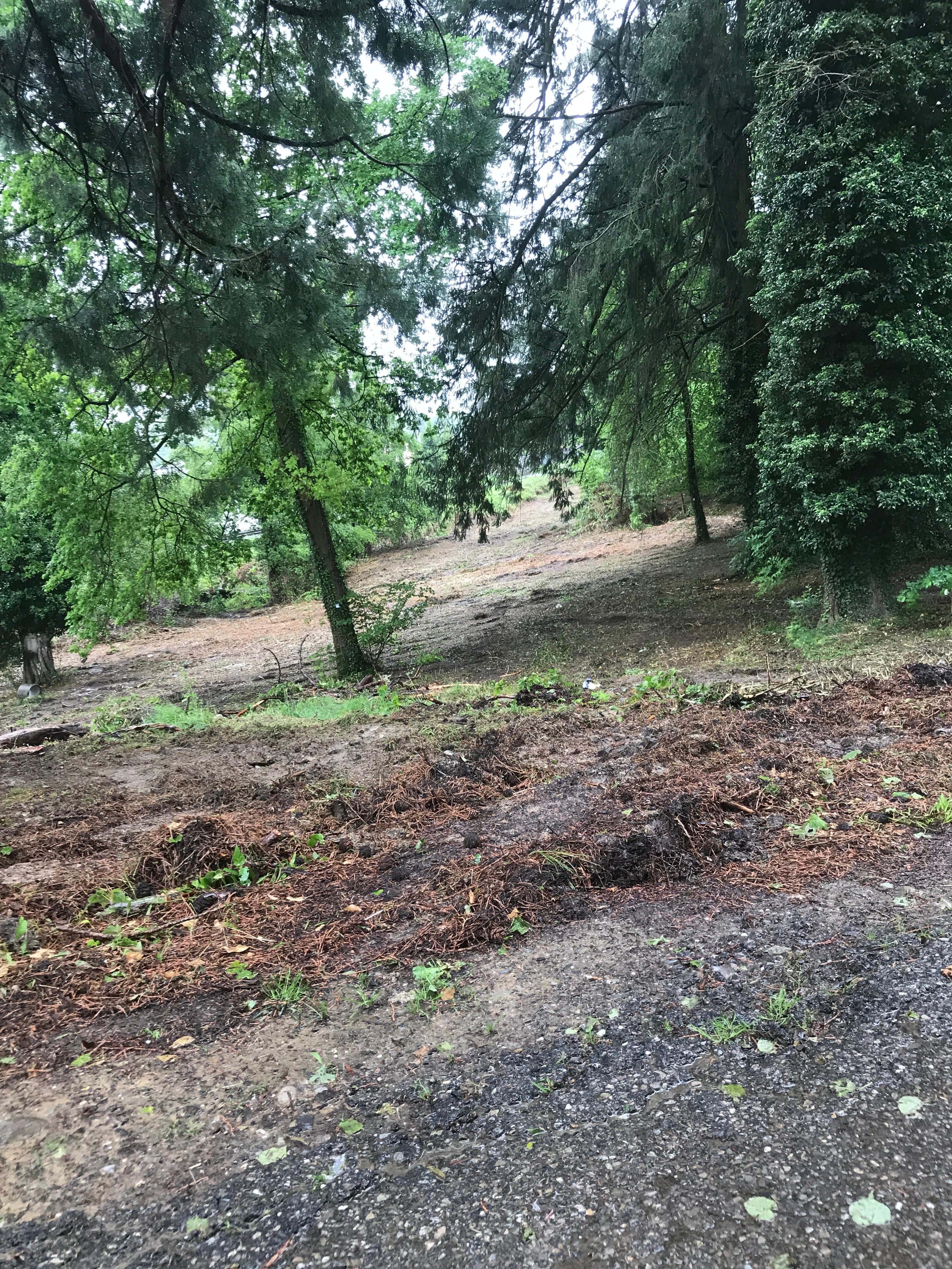 Défrichement et déboisement dans le Jura — SAS POLYVIER